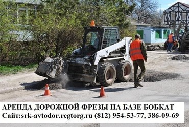 Bobcat
