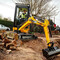 JCB 19