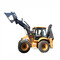 SHANMON, JCB ACMG