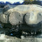 RDK-400 для кранов гусеничных
