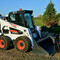 BOBCAT