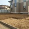 Sunward