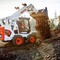 Bobcat S300