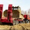 DAF, Volvo, Scania