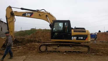 Caterpillar CAT319DLN