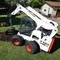 Bobcat