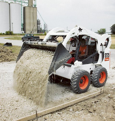 Bobcat