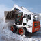 Bobcat S300
