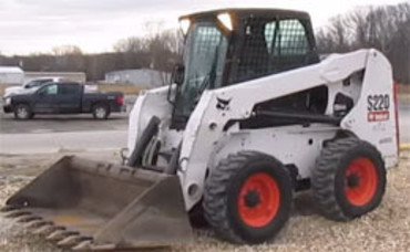bobcat