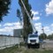 Газон Некст