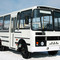HYUNDAI ПАЗ